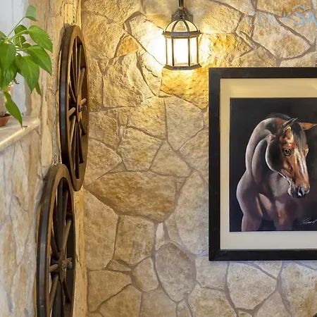 Villa Flamingo Luxury With Exclusive Pool, Gym And